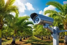 Sumber : PT. Satya Dinamika Mandiri