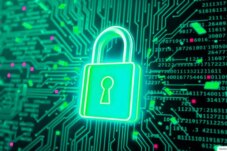 Sumber : LindungiHutan