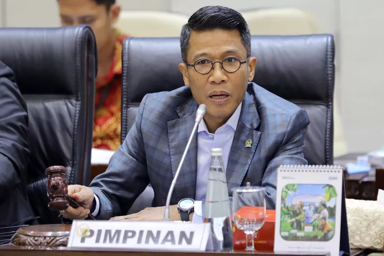 Ketua Komisi XI DPR RI Misbhakun (Foto: BNI)