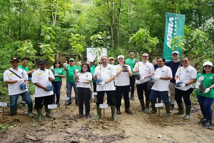 Sumber : LindungiHutan