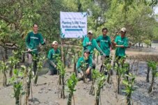 Financial institution Indonesia Dukung Program Penanaman 20.000 Pohon Bakau