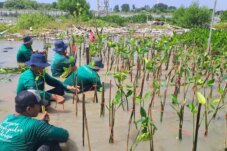 LindungiHutan: Kolaborasi Perusahaan dalam Penghijauan dan Mitigasi Iklim