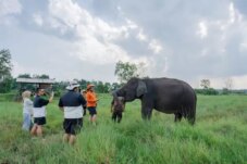 Kolaborasi LindungiHutan dan TN Method Kambas untuk Konservasi