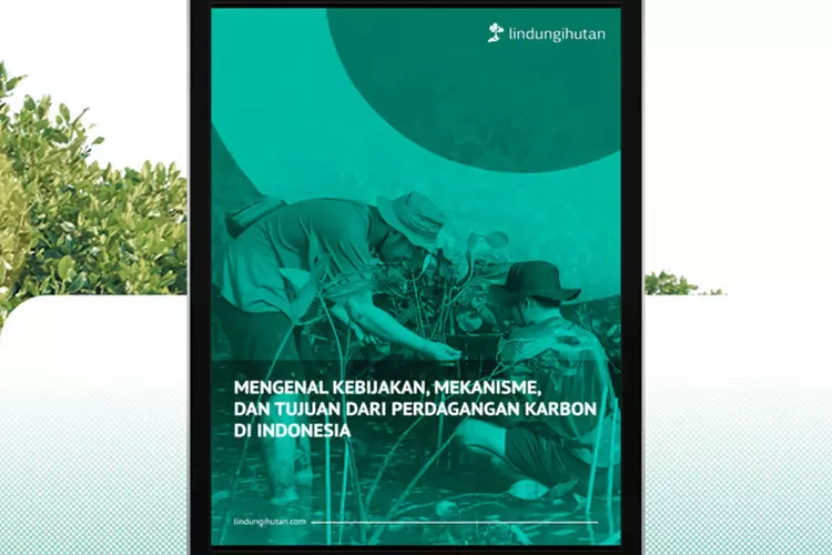 Memahami Skema Perdagangan Karbon di Indonesia