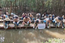 LindungiHutan Gandeng PT Panin Asset Management Tanam Mangrove