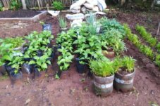 Sumber : Yayasan Bayi Prematur Indonesia