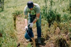 Sumber : PT Waskita Beton Precast Tbk