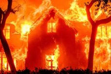 Sumber : CLAV Digital