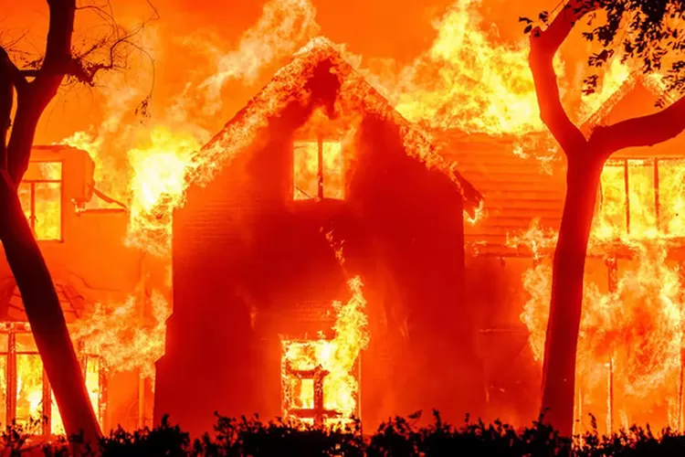 Sumber : CLAV Digital