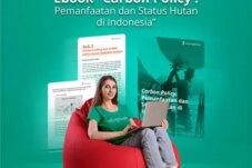 Sumber : LindungiHutan