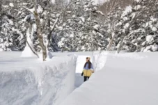 Sumber : Otari Village Tourism Association