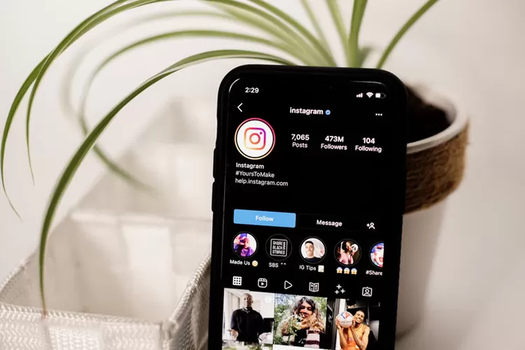 Sumber : PT Sribu Digital Kreatif