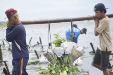 Sumber : LindungiHutan