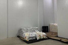 Sumber : Lynk Media Group