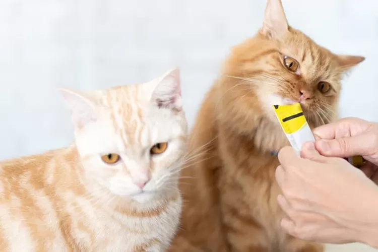 Sumber : Unicharm Pet Indonesia