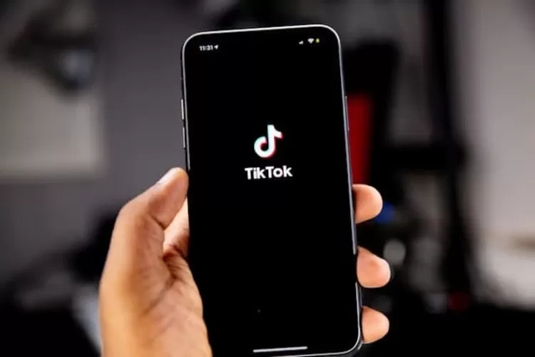 Sumber : PT Sribu Digital Kreatif