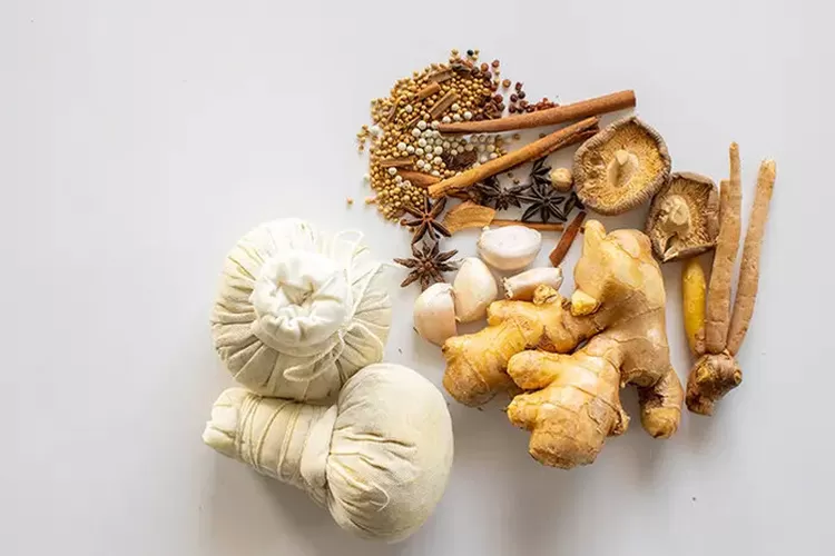 11 Tanaman Natural Atasi Nyeri Otot dan Sendi 11 Tanaman Natural Atasi Nyeri Otot dan Sendi