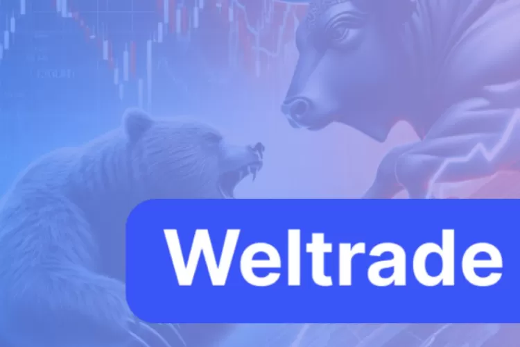 Weltrade jadi Solusi Pilihan Trader untuk Perdagangan Optimal