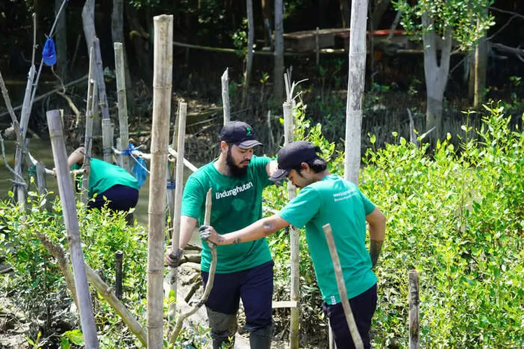 Sumber : LindungiHutan