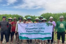 Sumber : LindungiHutan