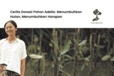 Sumber : LindungiHutan