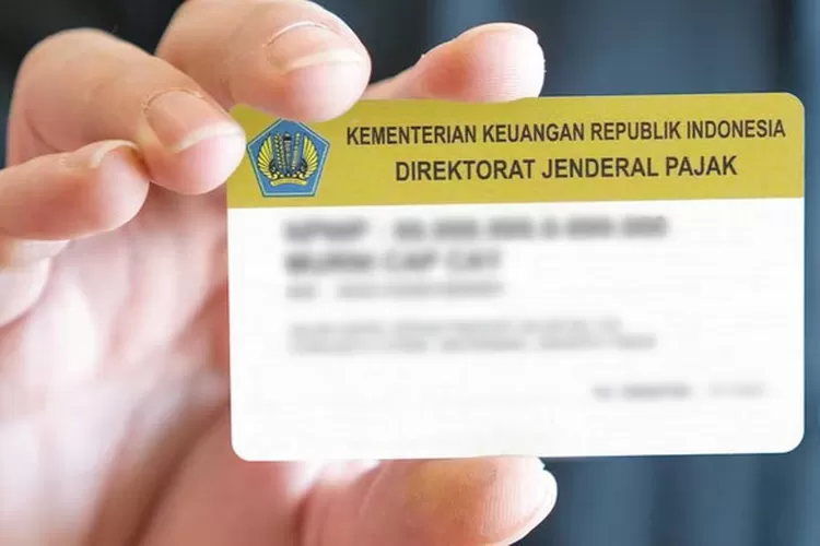 Panduan Singkat Dapatkan NPWP di Indonesia Panduan Singkat Dapatkan NPWP di Indonesia