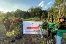 Sumber : LindungiHutan