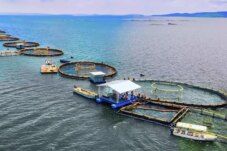 Sumber : Kubus Apung Hildan