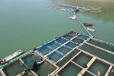 Sumber : Kubus Apung Hildan