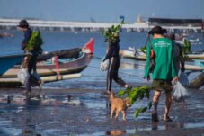 Sumber : LindungiHutan