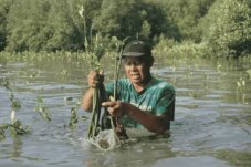 Sumber : LindungiHutan