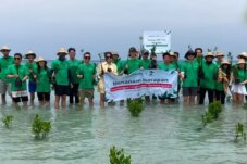 Sumber : LindungiHutan