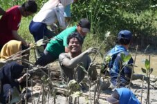 Sumber : LindungiHutan