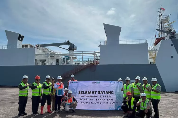 Pelindo Multi Terminal Layani Bongkar Muat 1.213 Sapi Perah Pelindo Multi Terminal Layani Bongkar Muat 1.213 Sapi Perah