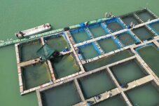 Sumber : Kubus Apung Hildan