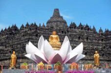 Sumber : Marclan International