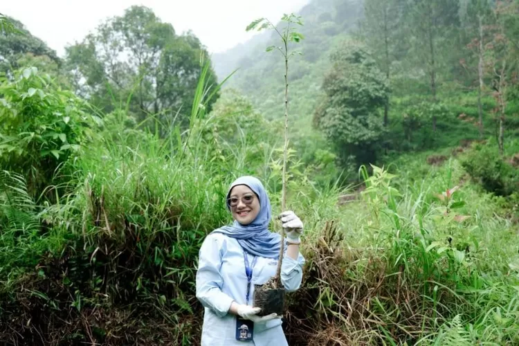 WSBP Tanam 318 Pohon Trembesi untuk Lingkungan WSBP Tanam 318 Pohon Trembesi untuk Lingkungan